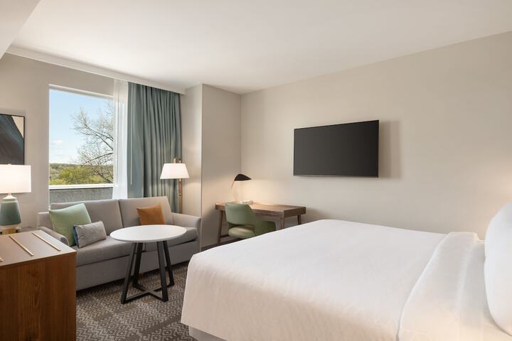 1 King Bed Studio Suite (29 of 31)