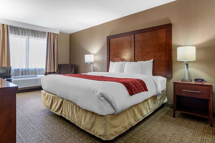 1 King Bed Accessible (6 of 11)