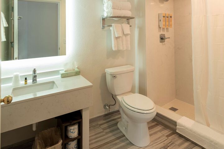 1 King Bed Exercise Bike Microwave, Refrigerator Walk in Shower Full Breakfast (16 of 30)