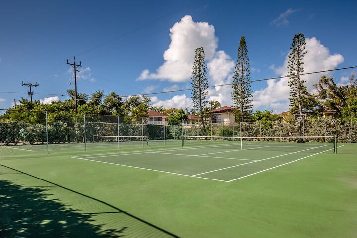 Tennis and Basketball Courts 22 of 52