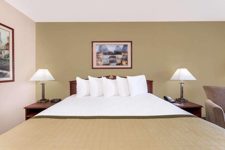1 King Bed (7 of 11)