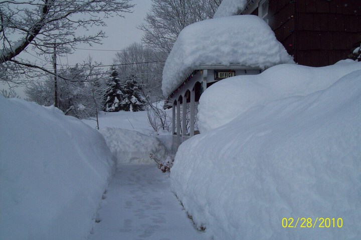 Property Grounds 11 of 18
