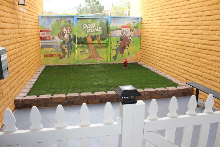 Pet-friendly amenities