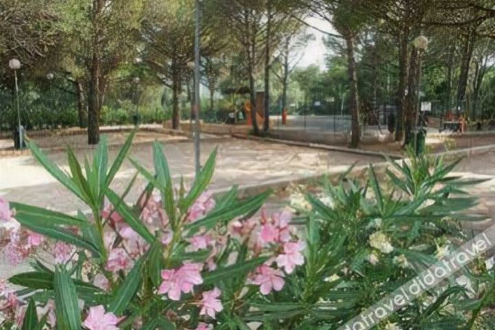 Spa and Wellness Pictures