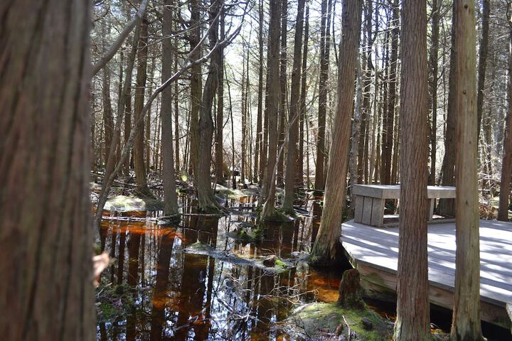 Outdoor Activities 49 of 57