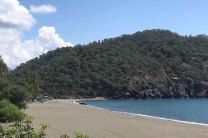 Beach 85 of 95