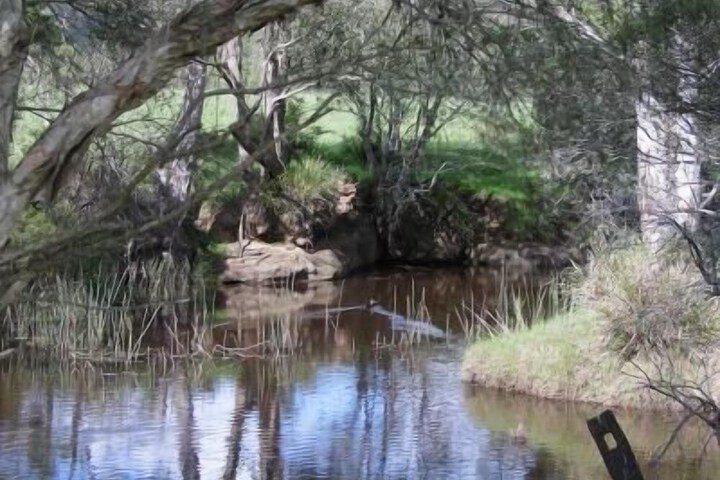 Property Grounds 33 of 34