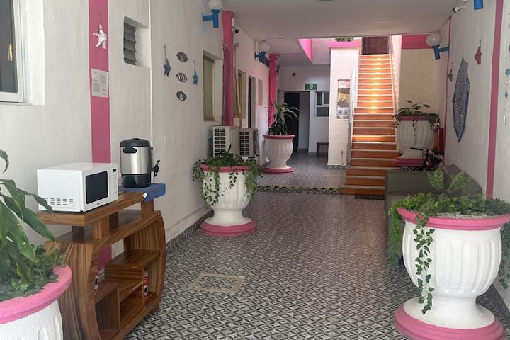 Terrace/Patio 15 of 19