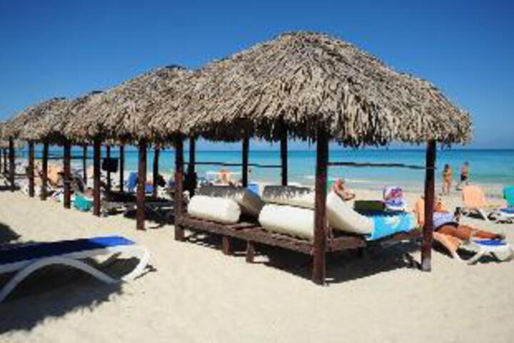 Hotel Los Cactus