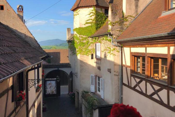 Le Grenier Des Arômes Au Domaine Wittmann
