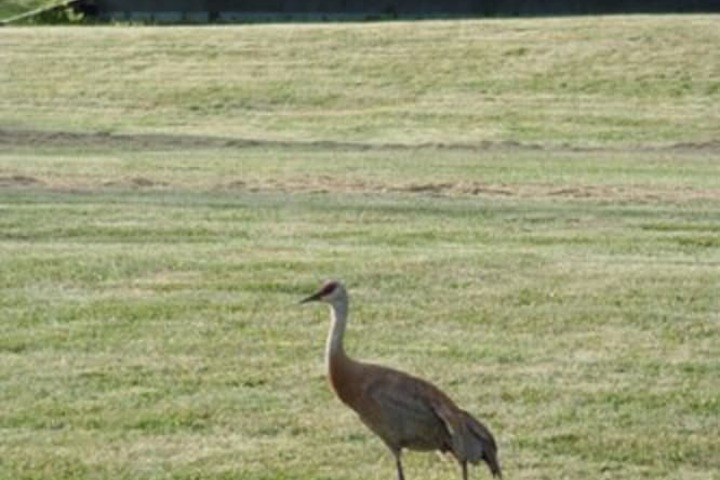 Property Grounds 15 of 24