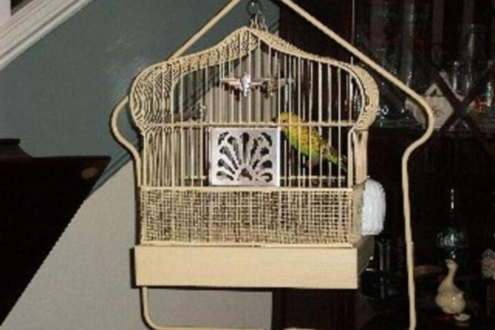 Photo 12