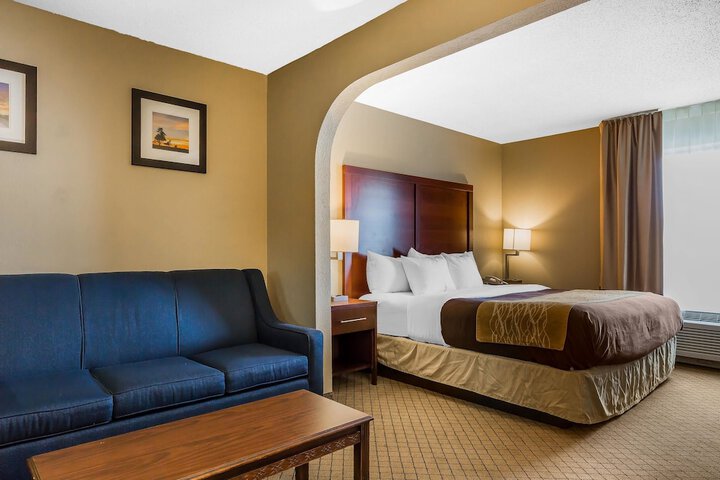 Standard | King Bed (4 of 22)