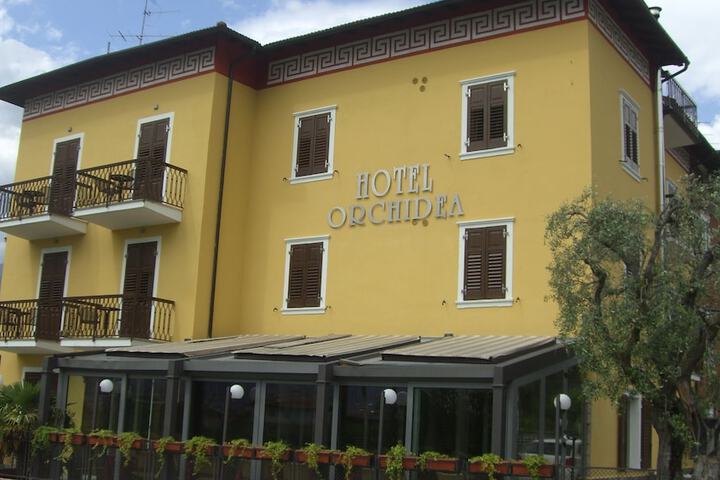 Orchidea