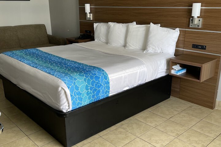 Deluxe Studio King Bed (20 of 27)