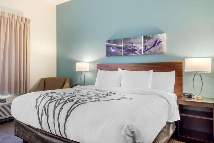 1 King Bed (4 of 9)