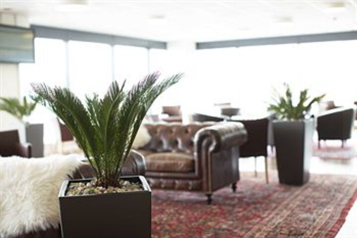 Lounge 11 of 16