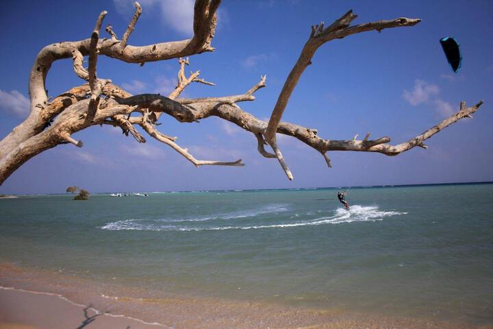 Beach 1 of 1