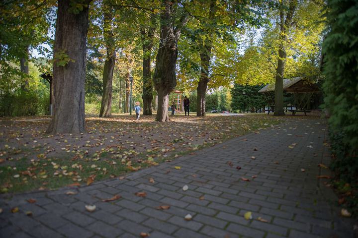 Property Grounds 21 of 30