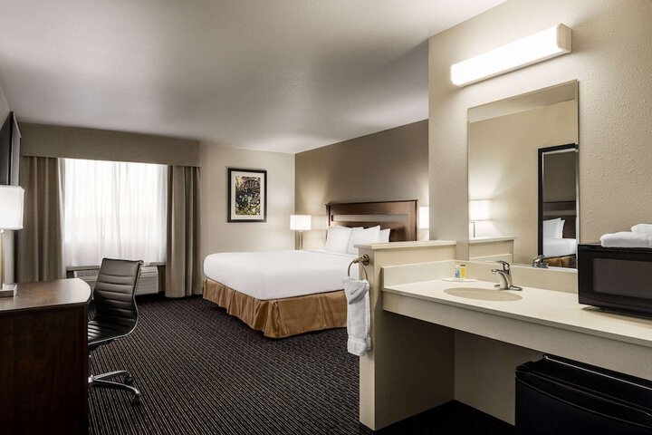 1 King Bed Mobility Accessible (8 of 11)