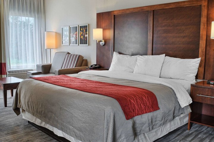 1 King Bed Mobility Accessible (7 of 14)