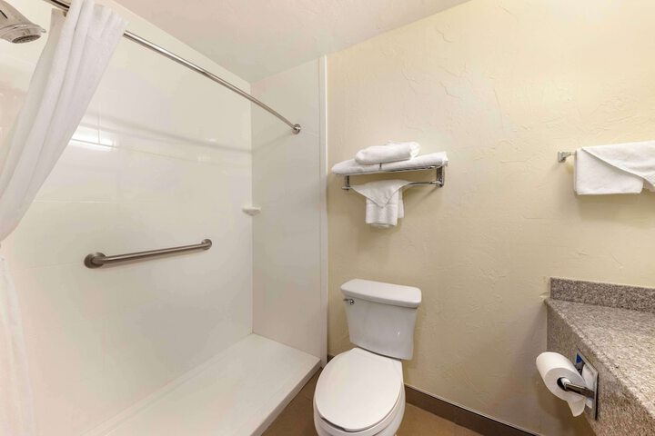 1 King Bed Pet Friendly Room High Speed Internet Accessible Microwave and Refrigerator Full (8 of 15)