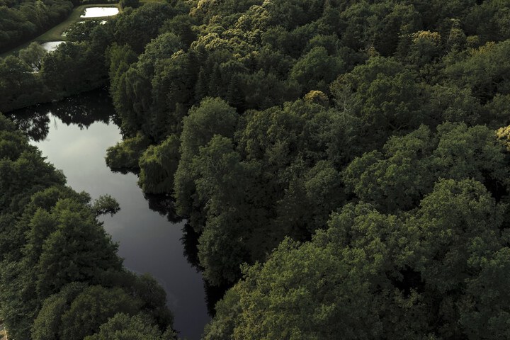 Property Grounds 70 of 77