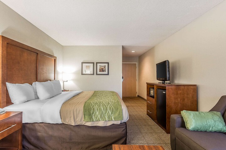 1 Queen Bed Accessible (1 of 14)