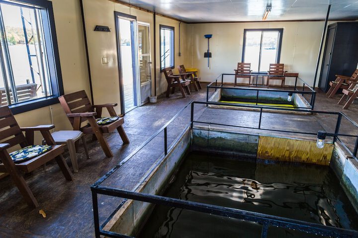 Outdoor Activities 70 of 125