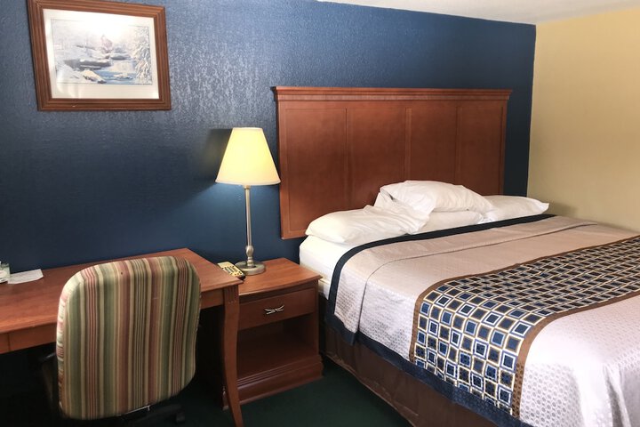 1 King Bed Mountain View (4 of 18)