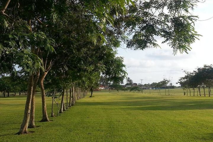 Property Grounds 43 of 88