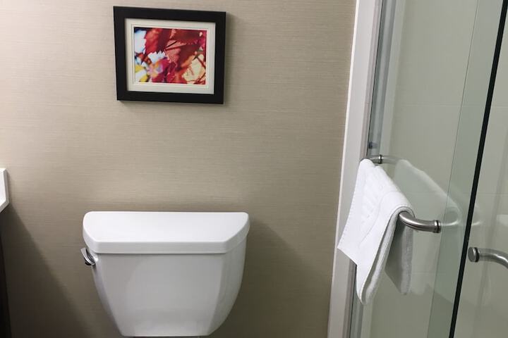 Bathroom shower