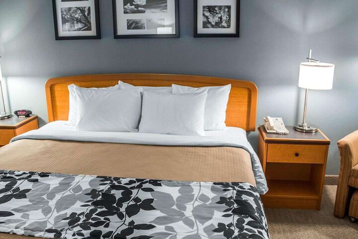 1 King Bed (3 of 14)
