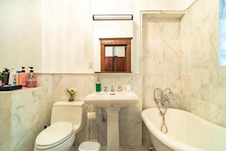 Luxurious classic Gold coast villa for 12 guests in Chicago, IL