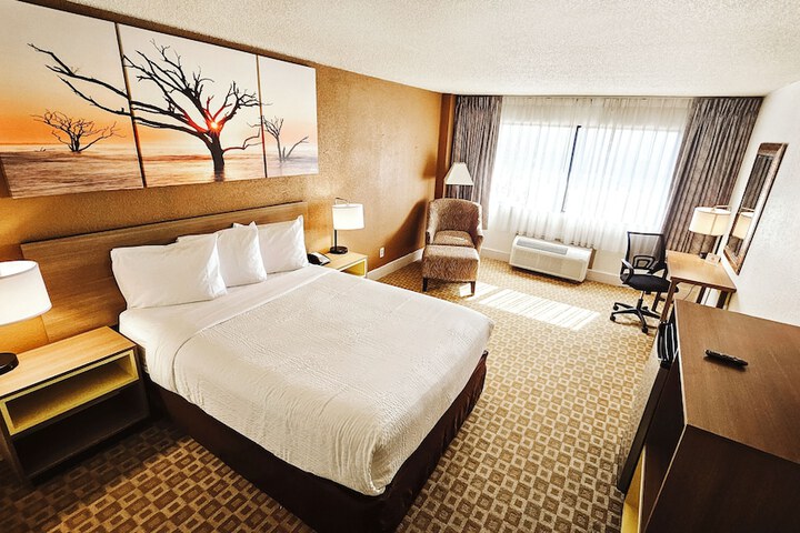 1 King Bed Deluxe (7 of 10)