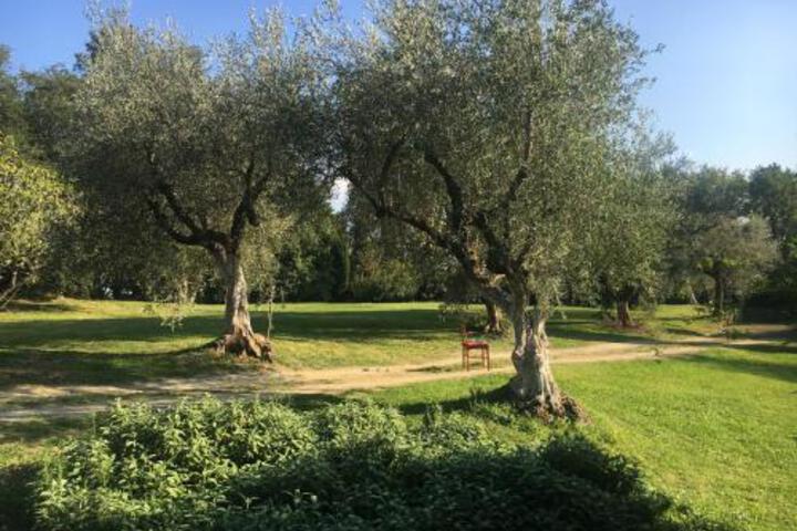 General 13 of 88