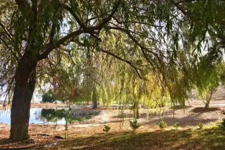 Image of San Marcos Creek Vineyard & Winery