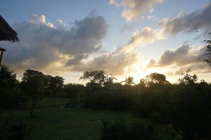 Property Grounds 46 of 59