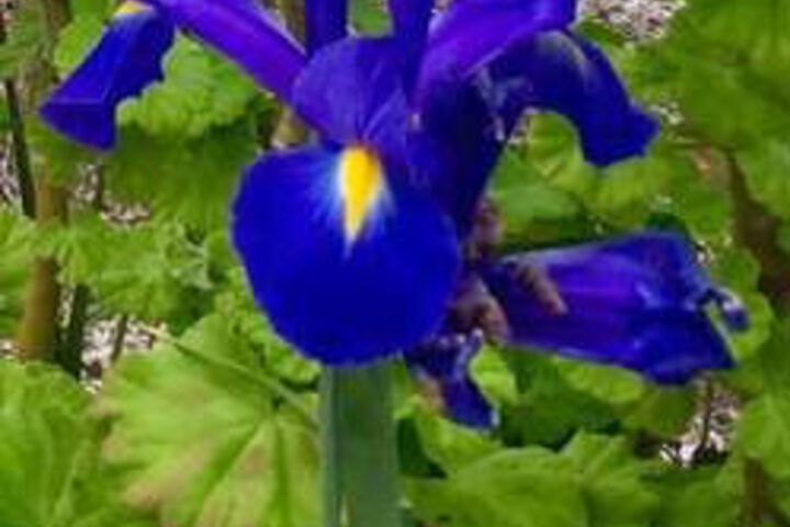 Hotel Exterior 37 of 111