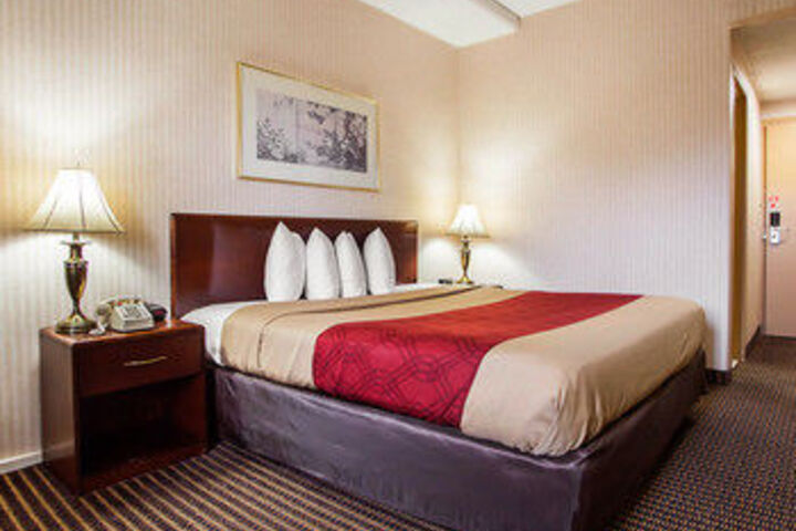 Room 14 of 24