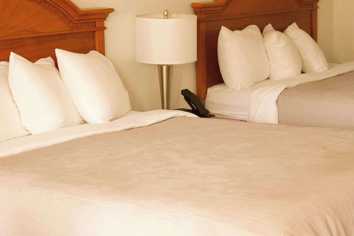 1 King Bed Accessible (5 of 6)