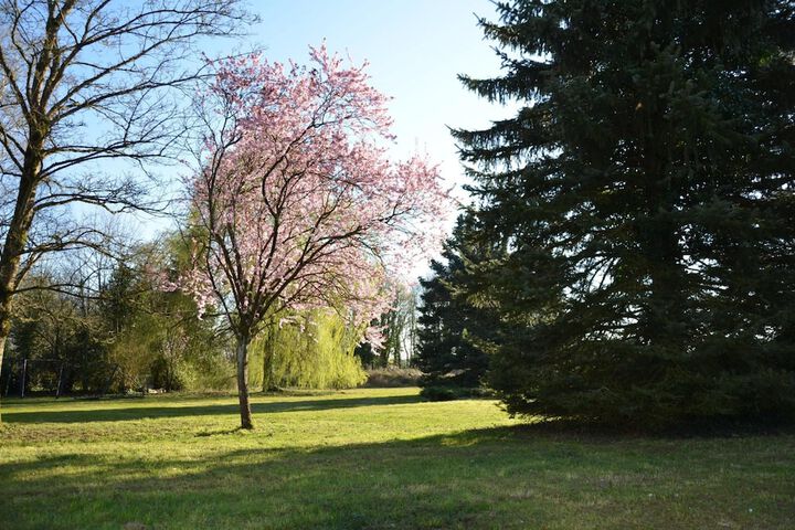 Property Grounds 42 of 49