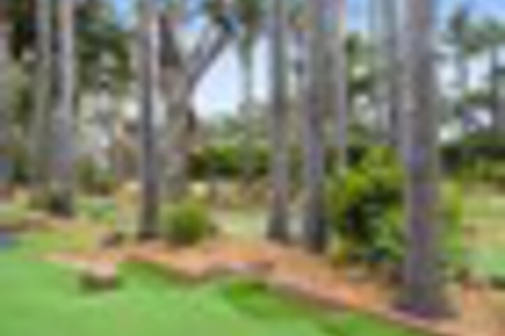 Golf 251 of 300
