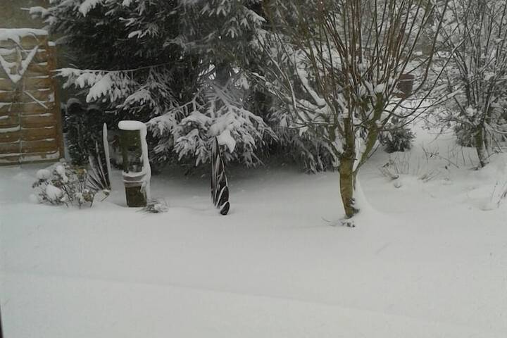 Property Grounds 29 of 32