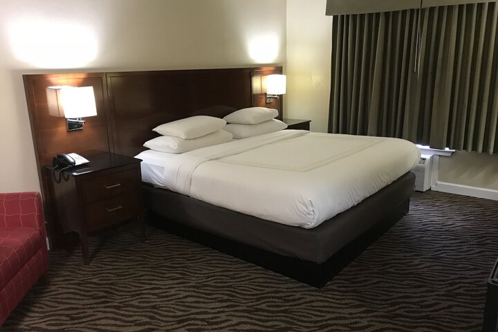 Standard Single Room 1 King Bed (3 of 17)