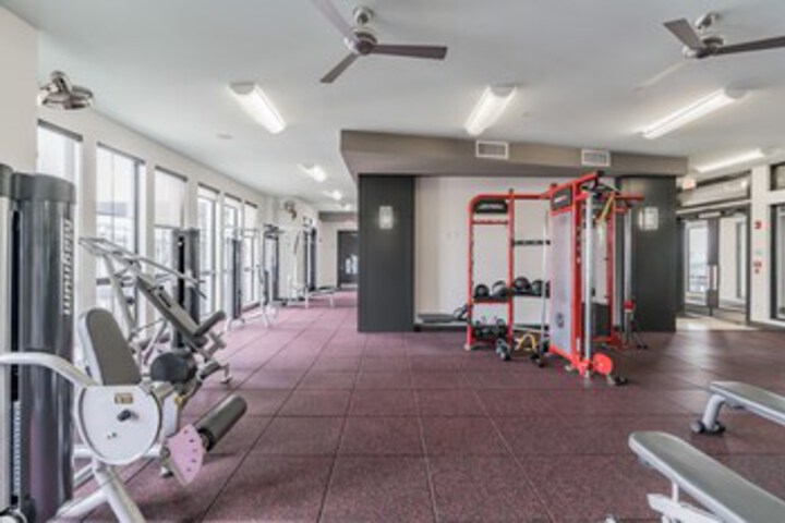 Health and Fitness 52 of 251