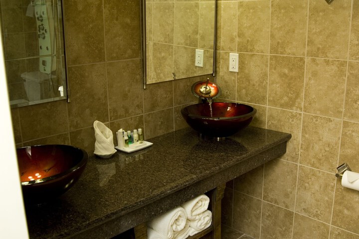 1 King Hearing Mobility Accessibility with Roll in Shower (25 of 37)