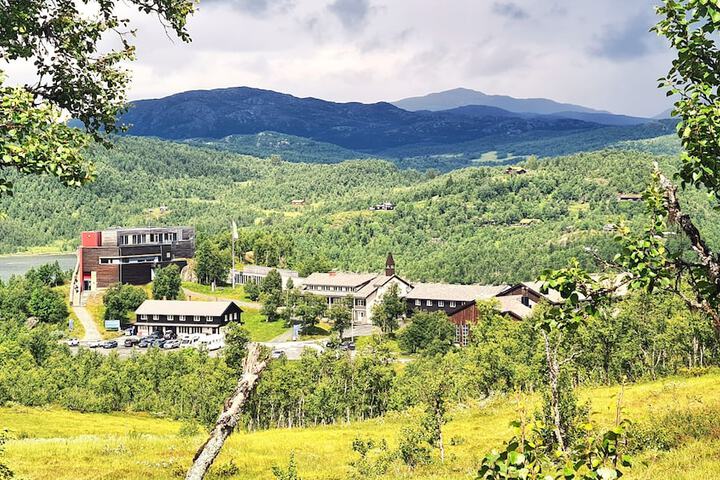 Skinnarbu in Tinn