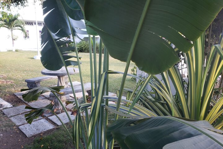 Property Grounds 47 of 78