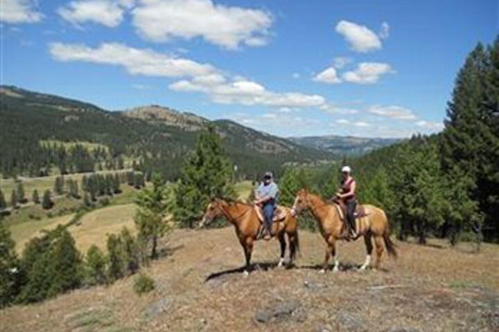 Property Grounds 11 of 20